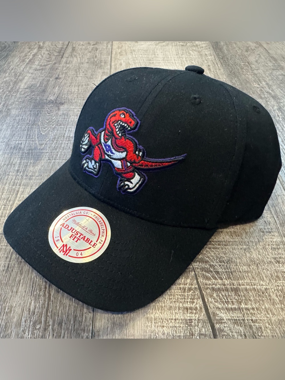 NWT Mitchell & Ness NBA TORONTO RAPTORS Snapback Hat LOW PROFILE Adjustable Cap